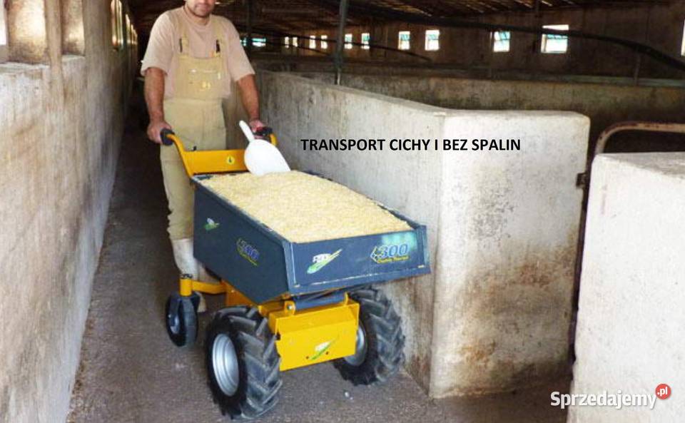 Transporter elektryczny 600 W 450 FORT Włochy Głogoczów