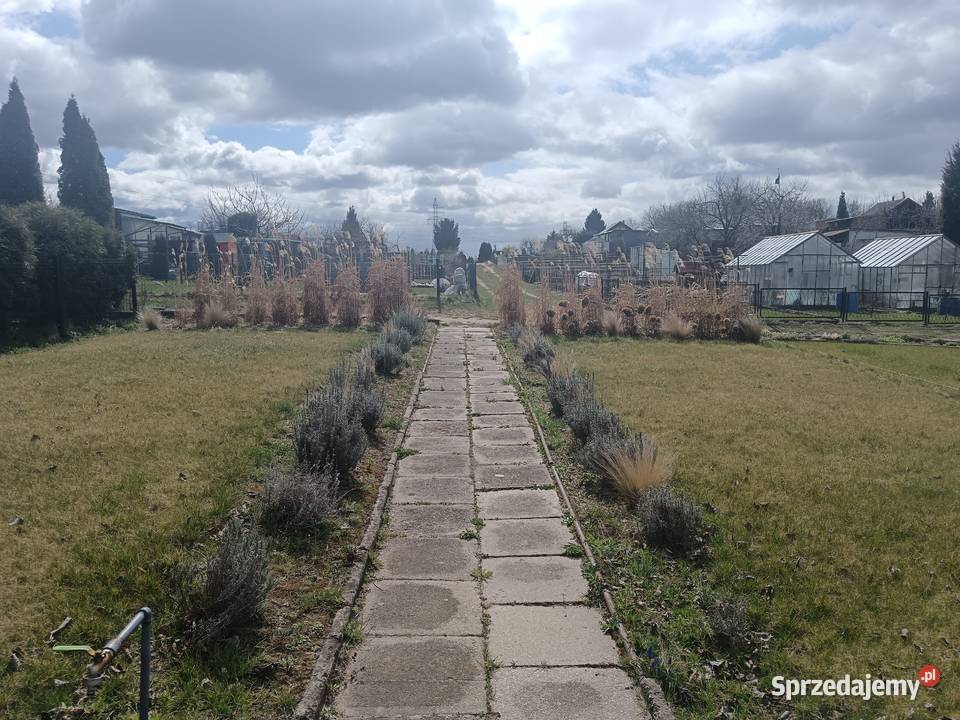 Działka ROD Polpharma Starogard Gdański