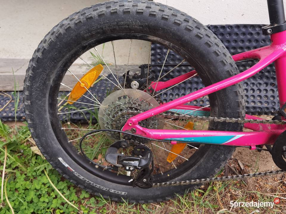 Specialized Leżajsk