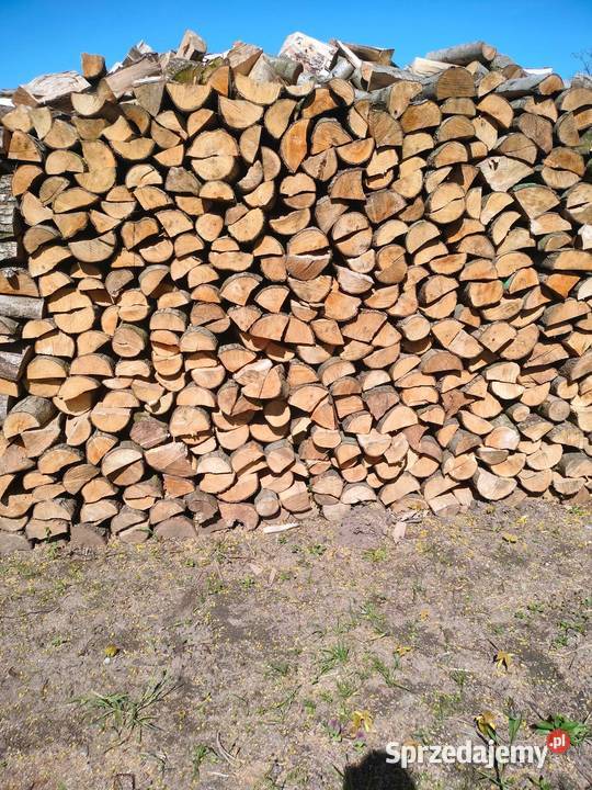 Drewno Buk brzoza olcha sosna Opał Recz sprzedam