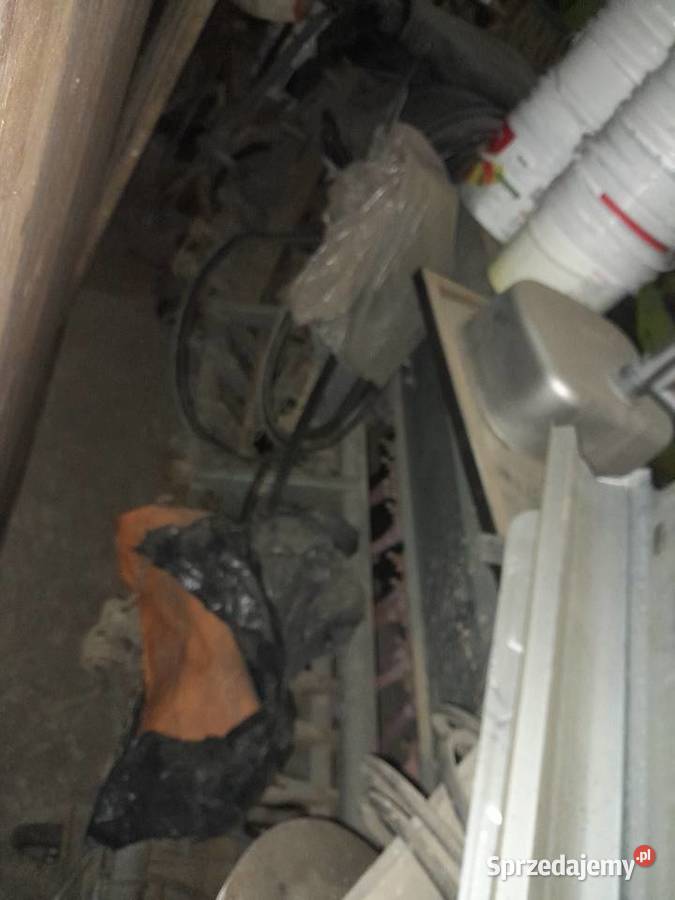 Siewnik poznaniak oryginał małopolskie Trzyciąż