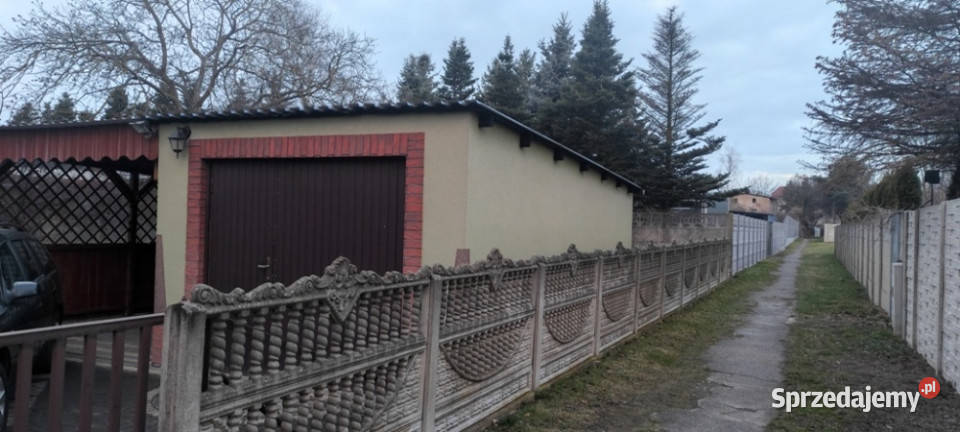 Lewinie Brzeskim twój wymarzony bliźniak Idealny bliźniak Lewin Brzeski