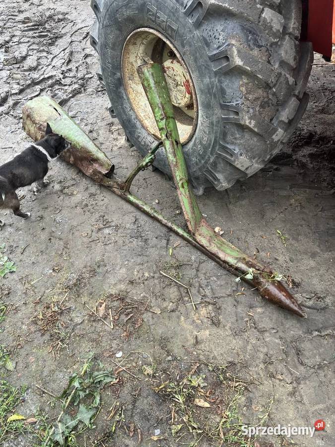 Dzioby heder kosa łódzkie Dąbrowice