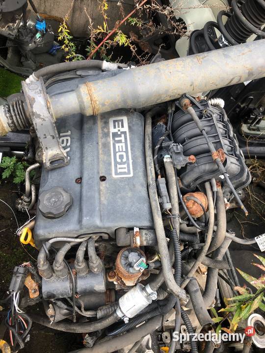 Silnik Chevrolet Kalos Aveo 14 16v Sławno