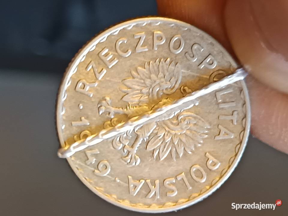 Sprzedam monetę 1 zloty 1949 mała skrętka Chełm