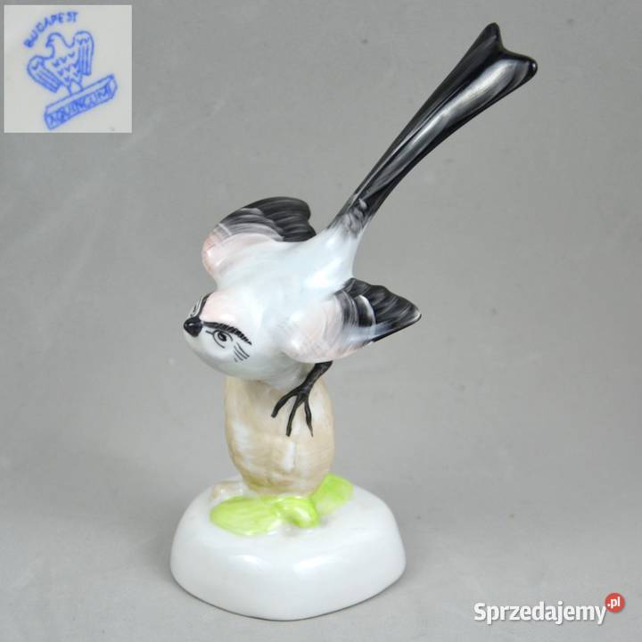 Ptak na szyszce Aquincum Budapeszt Węgry lata