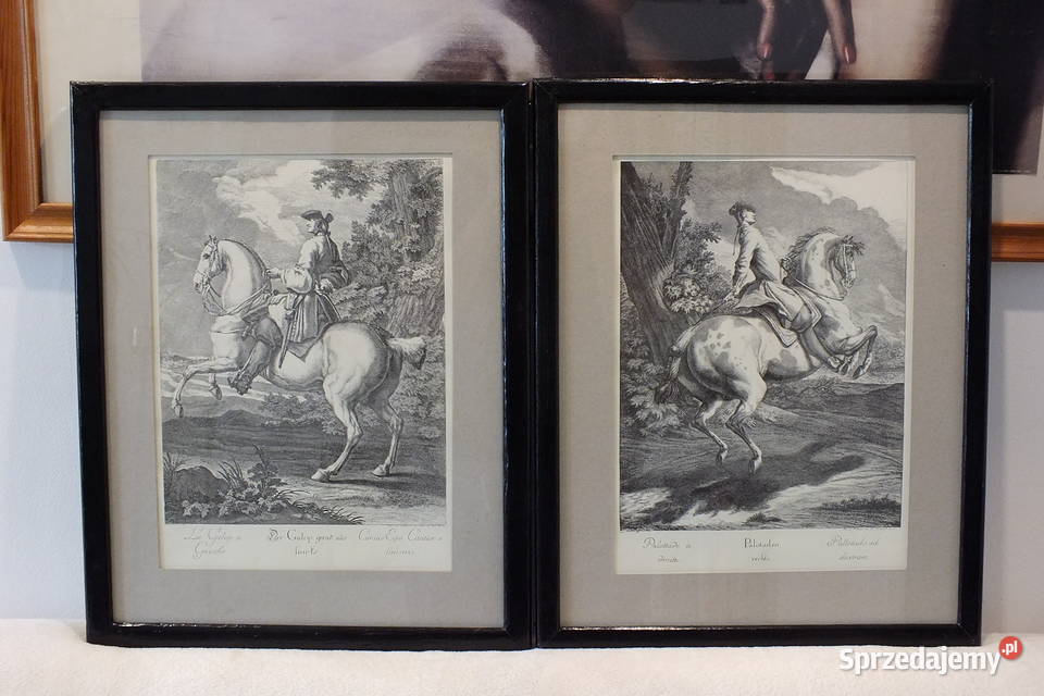 Johann Elias Ridinger Zestaw 2 miedziorytów 1734 Lubin sprzedam