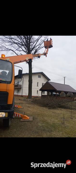 Sprzedam podnośnik Podnośniki koszowe łódzkie sprzedam