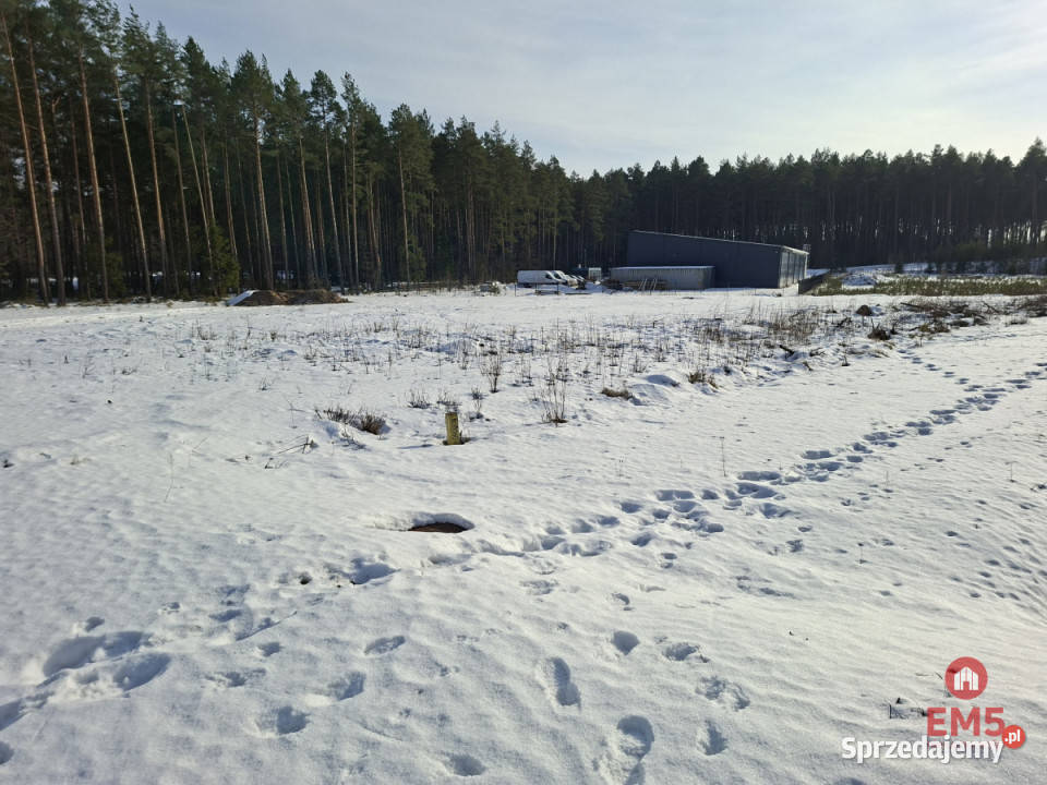 Działka Sochonie 4500m2 64m Grunty i działki