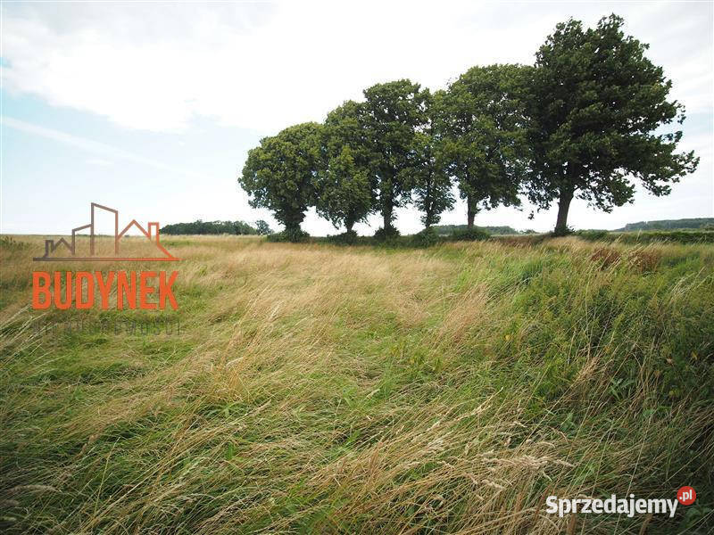 Działka rolna Rusinowo