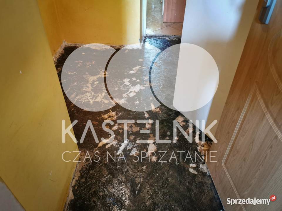 Sprzątanie zgonach CzechowiceDziedzice Osuszanie i odgrzybianie