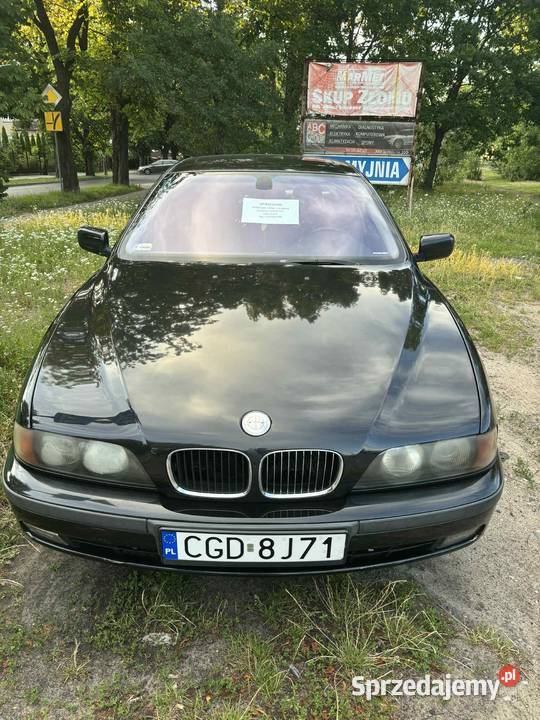 BMW e39 30d Toruń