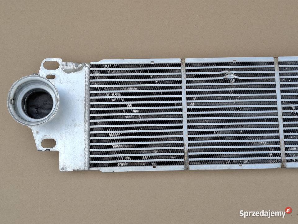 VW TRANSPORTER T5 T5 LIFT T6 INTERCOOLER Chłodnice powietrza (intercoolery) Bieleń