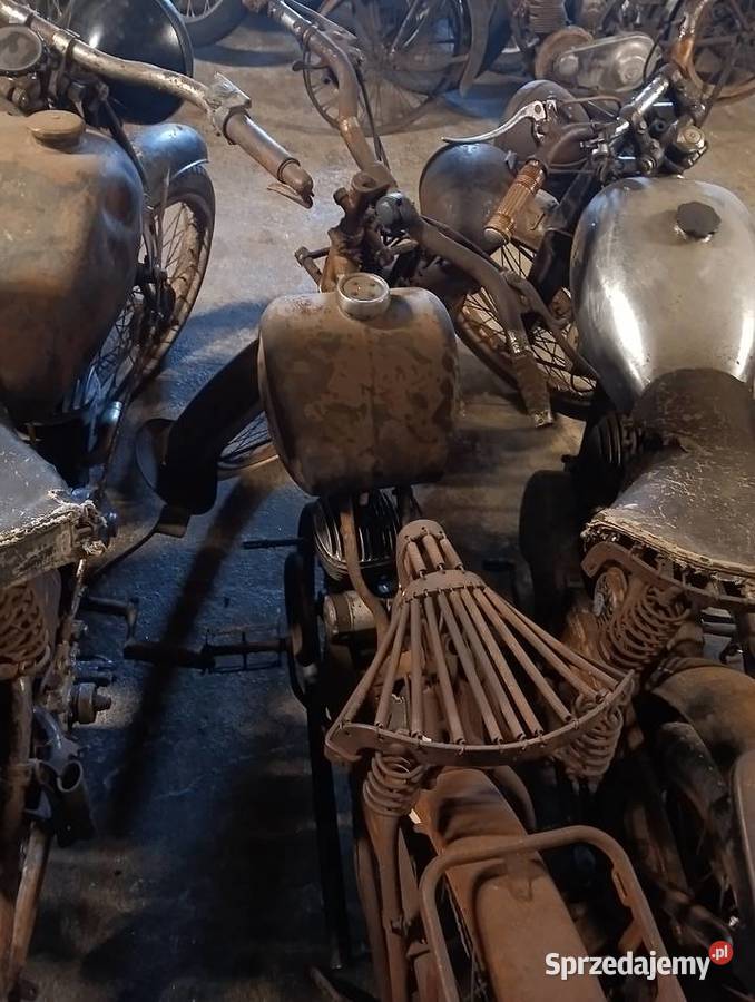 Terrot damka Pozostałe Gostycyn