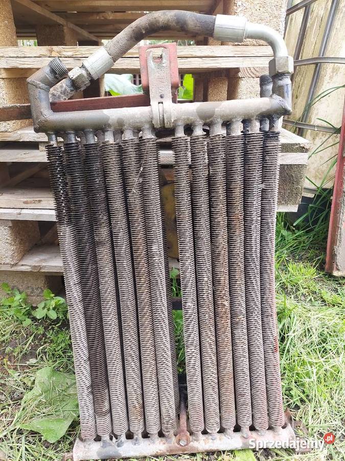 Chłodnicę oleju BIZON Z056 LEYLAND SW400 świętokrzyskie Niemienice