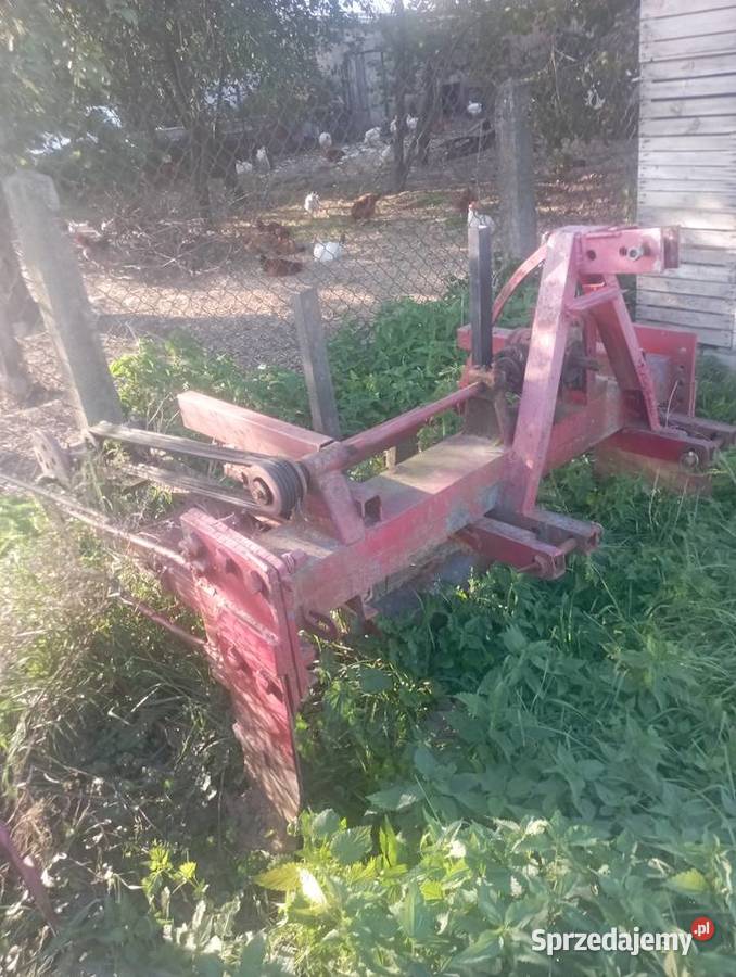 Wyorywacz szkólkarski