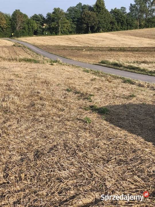 NA Sprzedaż DZIAŁKA ROLNA W ŁYCZAKOWIE woda świętokrzyskie Łyczaków