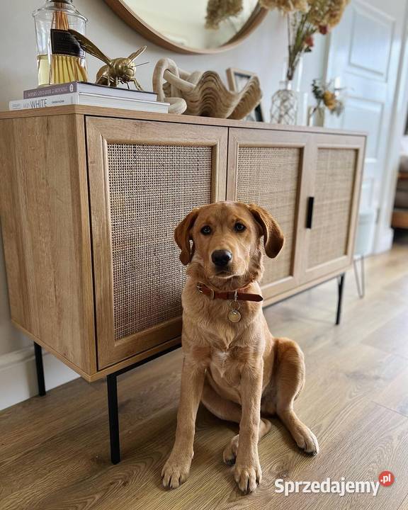 Komoda z drzwiami z plecionki Świdnica