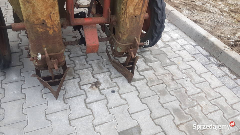 Sadzarka Gruse taśmowa Maszyny rolnicze Bochnia sprzedam