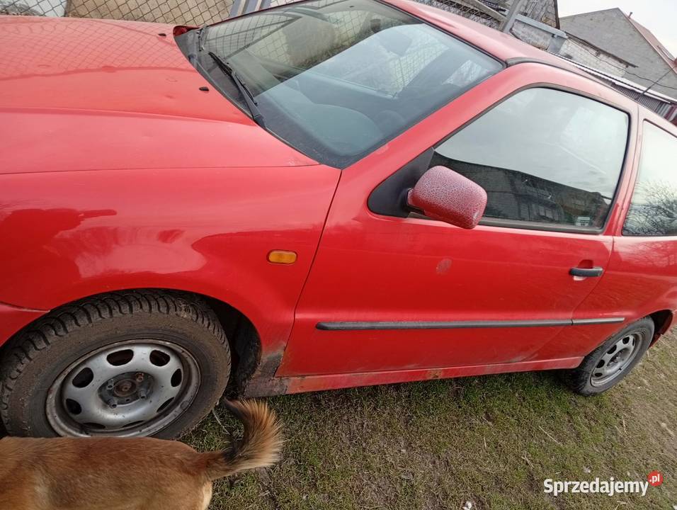 Volkswagen Polo 3 Janikowice