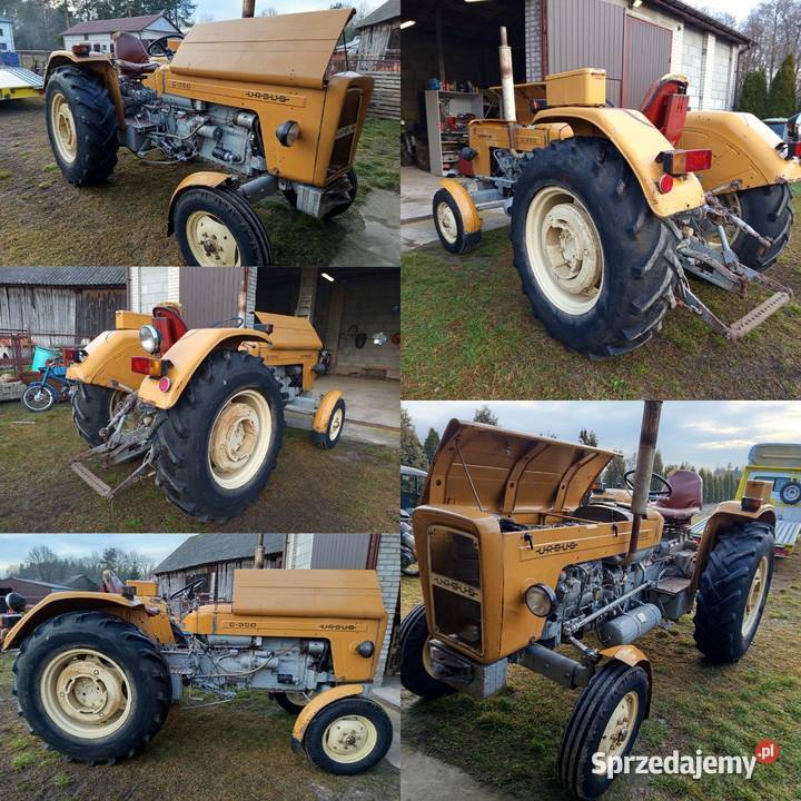 Ursus C330 Wielgie sprzedam