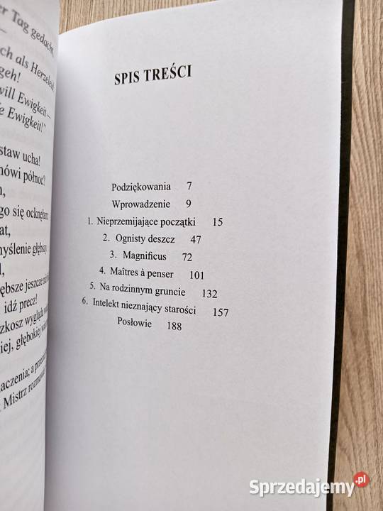 Nauki Mistrzów George Steiner Kraków