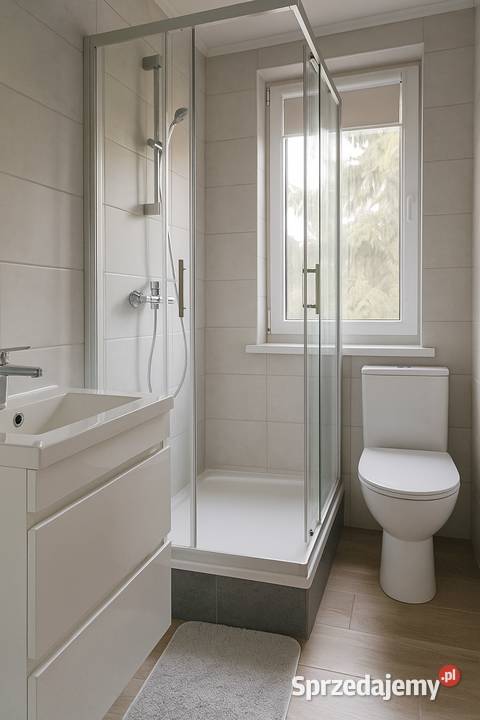 wizualizacje I dom rodziny I pod lasem I do cegła Jantar