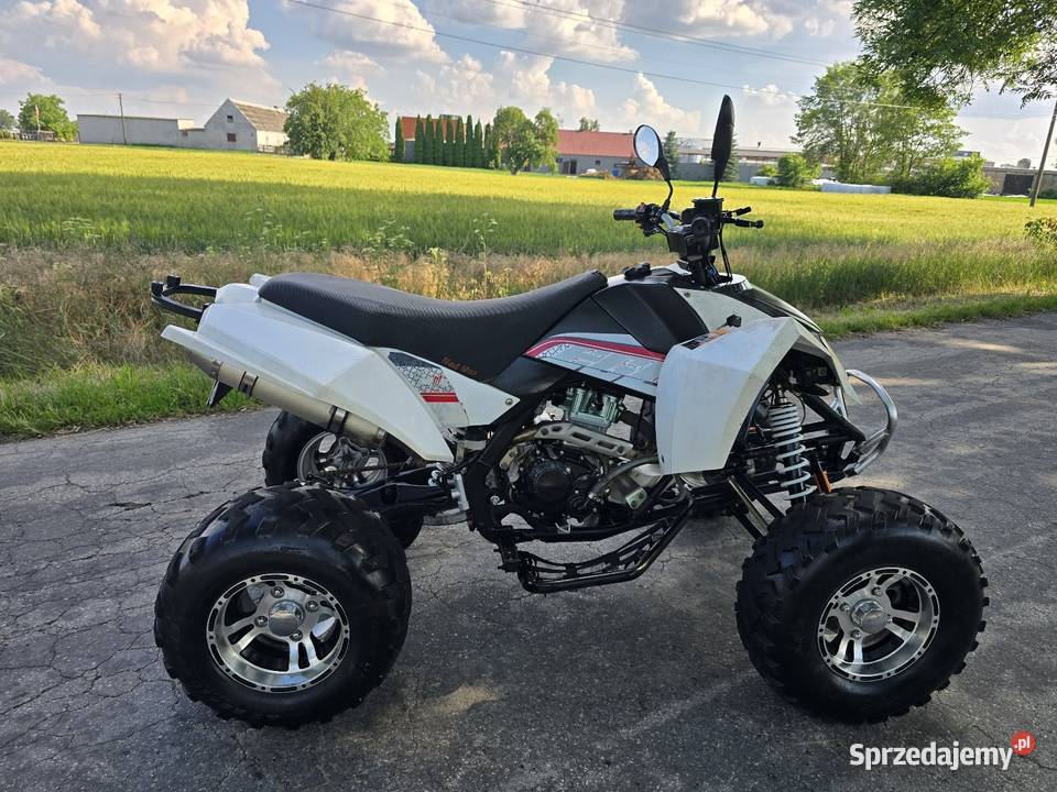 Quad Shineray Egl Bashan 250cc Ciecz Duża rama nieuszkodzony Kruszwica