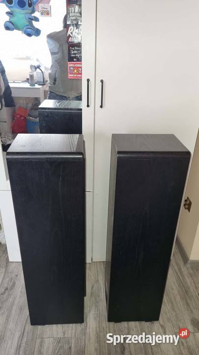 Kolumny podłogowe Canton Ergo 91 2x300Wat Warta