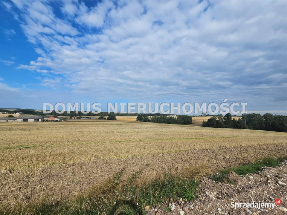 Działka Jasień 3000m2 gaz