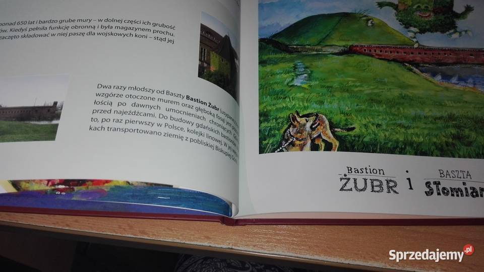 Co zbroiła zbrojownia czyli Zwariowany pomorskie