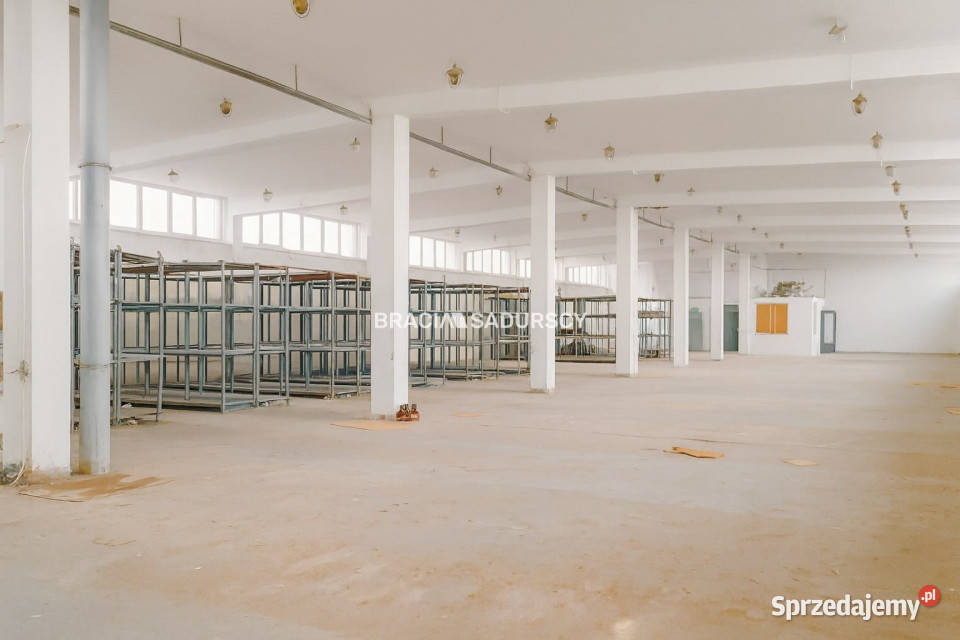 Wynajem lokalu Proszowice 865m2 małopolskie