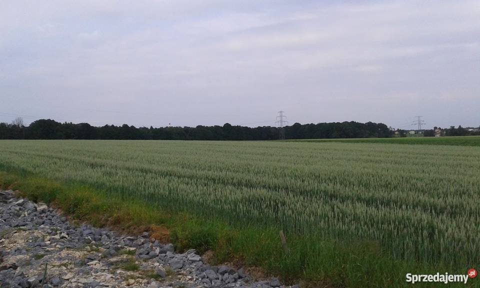 Działka 1000m Orzesze piękna i spokojna okolica budowlana śląskie Orzesze