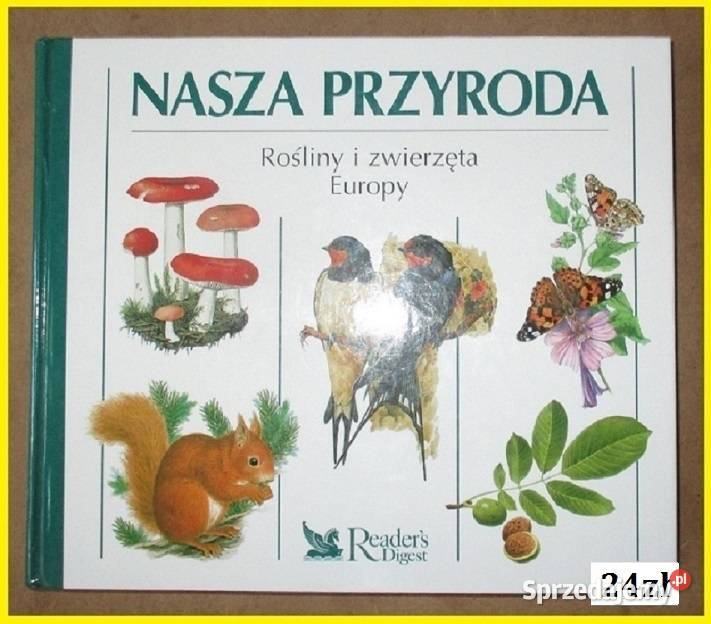 Rośliny przyprawowe Hlava Lanska przyprawy zioła łódzkie