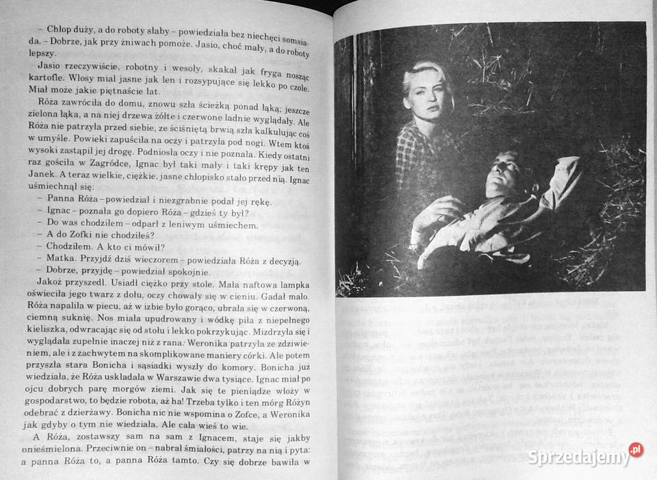 Brzezina i inne opowiadania ekranizowane