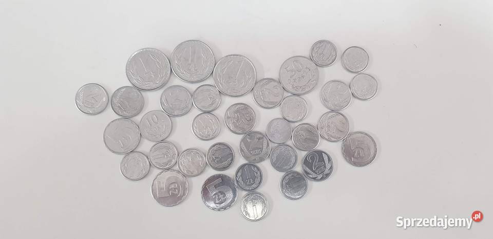 Monety Polskie z klaserem 1 Antyki, Sztuka, Kolekcje lubuskie Zielona Góra