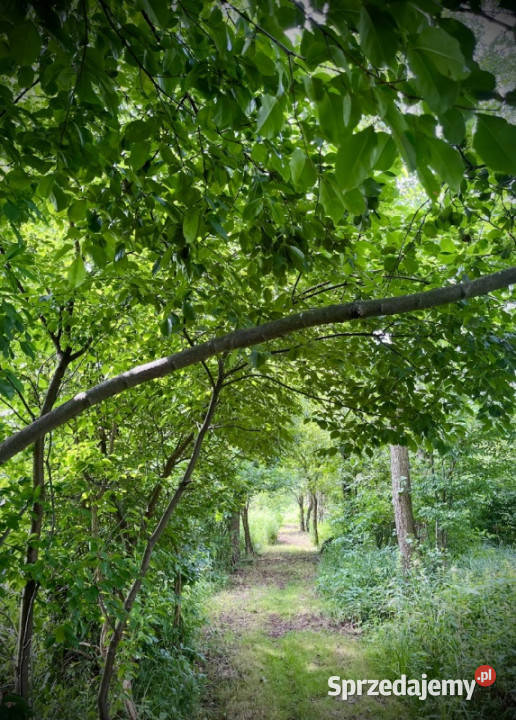 Działka pod zabudowę jednorodzinną 5057 m Mariew