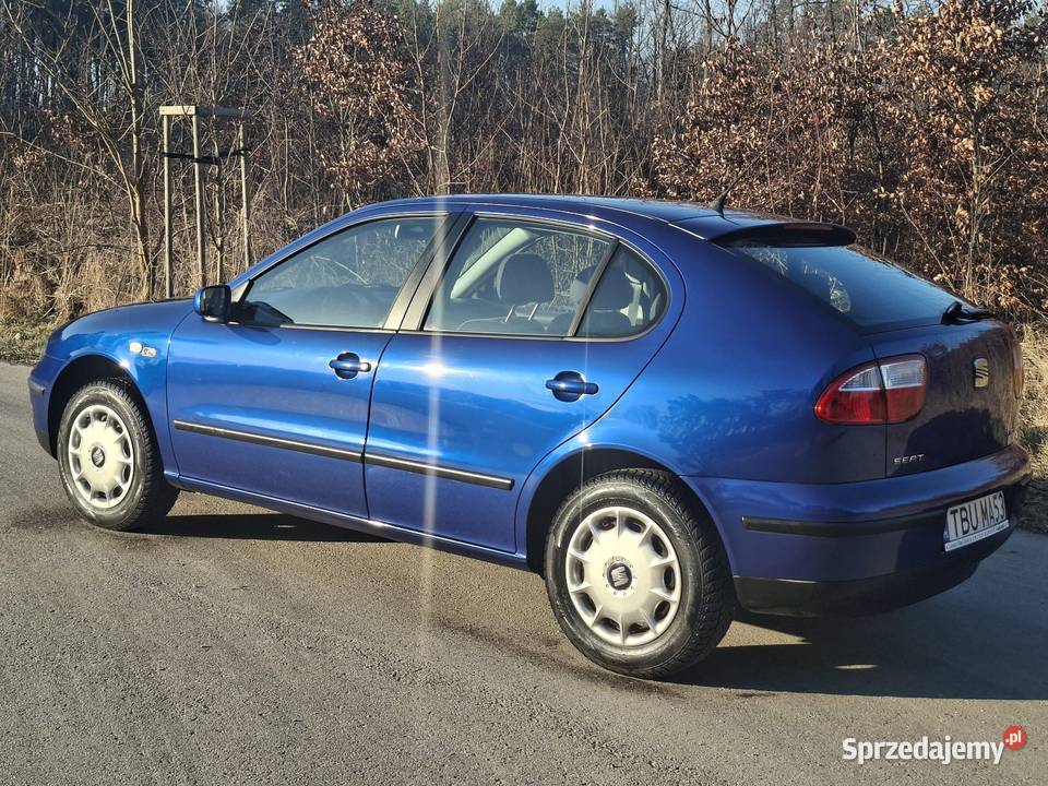 Leon świętokrzyskie Marzysz