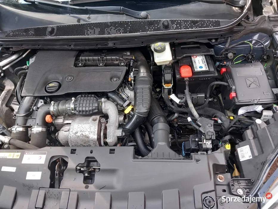 Peugeot 308 16 308 kujawsko-pomorskie