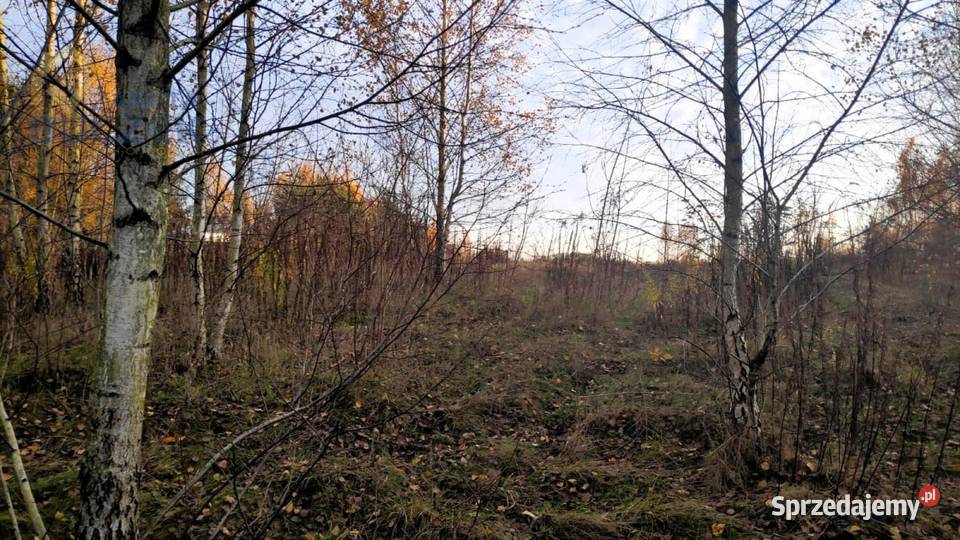 Sprzedam działkę budowlaną z dostępem do rzeki w Nowe Mostki sprzedam