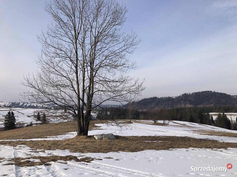 Działka rolna z widokiem na Tatry Zakopane