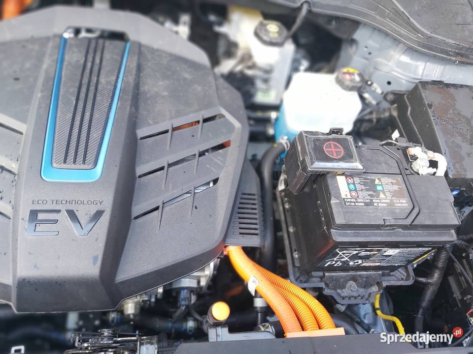 Kona 64KW 204 2021 Faktura Elektryk automatyczna zachodniopomorskie