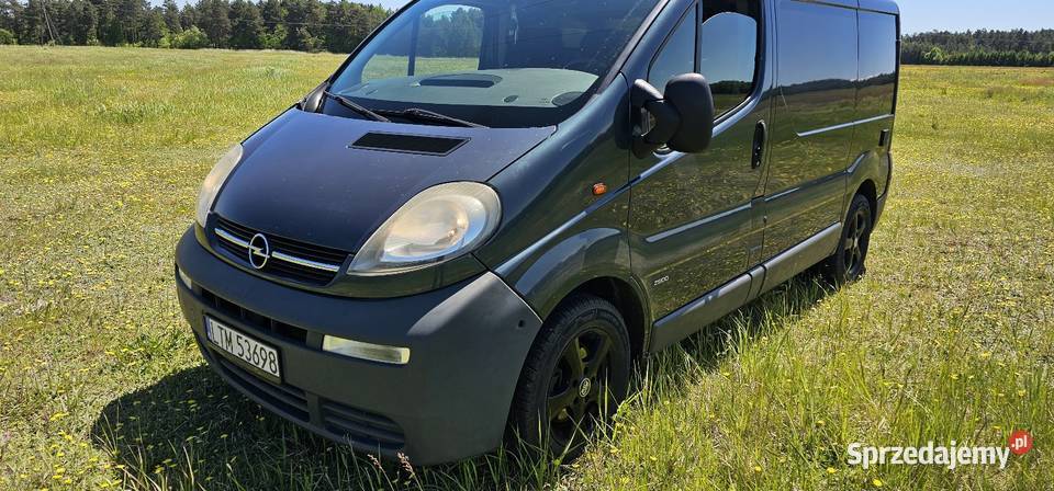 Opel vivaro 19 CDTI 2004R 259 przebiegu Ładny Majdan Górny