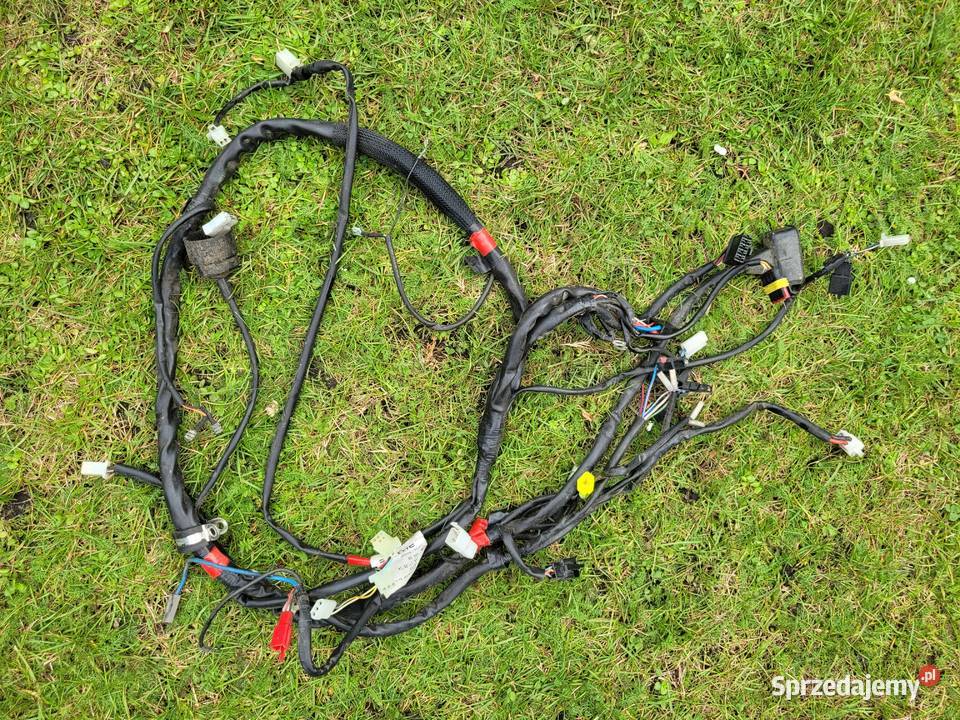 MALAGUTI PHANTOM F12 F 12 50 wiazka elektryczna Piła