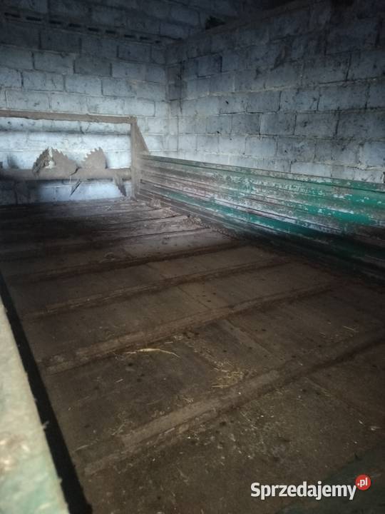 Rozrzutnik nieuszkodzony