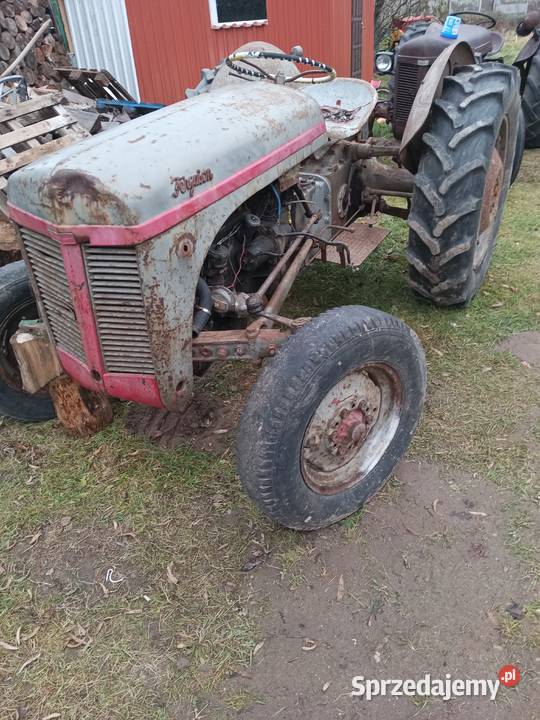 Massey Ferguson 20 tea Koszalin