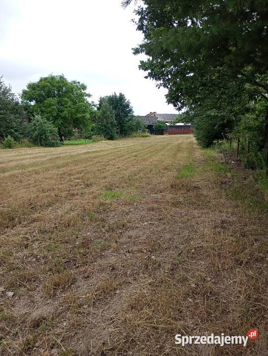 Sprzedam dziłke 1500m2 Sprzedaż podkarpackie Cygany