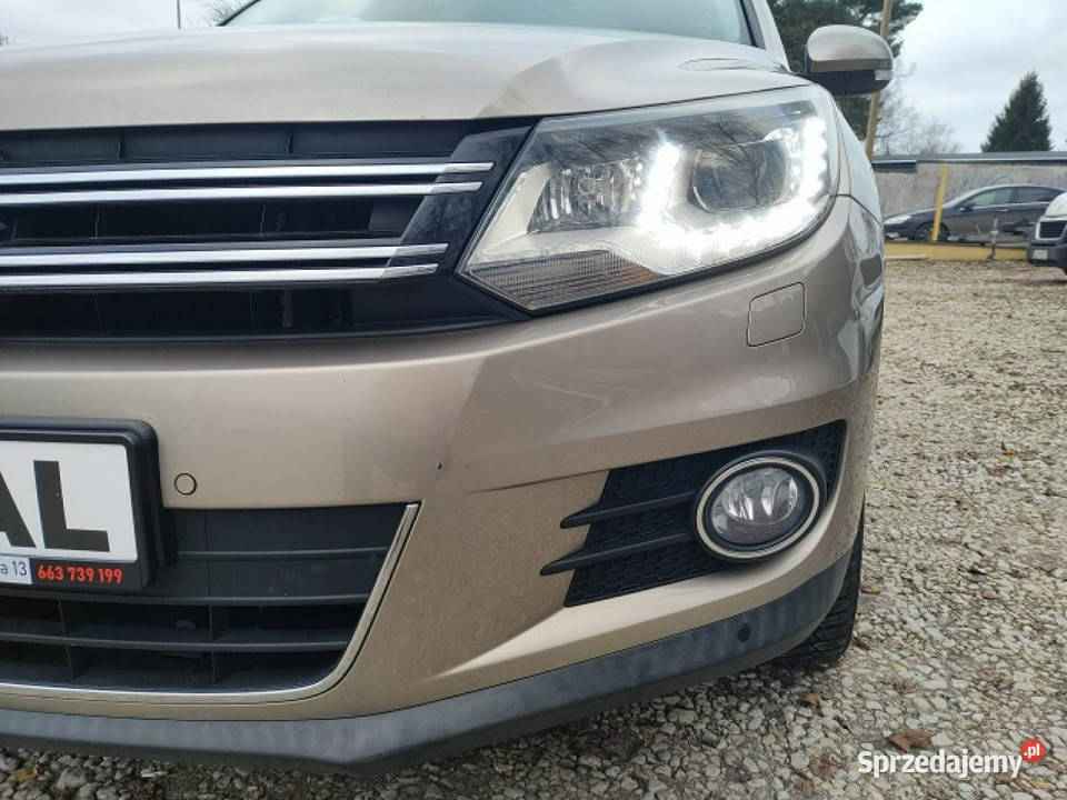 Volkswagen Tiguan Automat Mały przebieg 160 I Bydgoszcz
