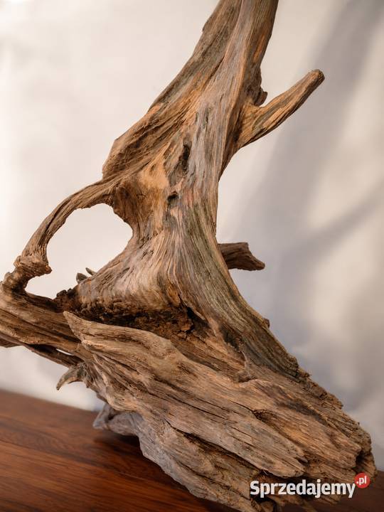 Drewno dryftowe driftwood 100 naturalny korzeń świętokrzyskie Pińczów