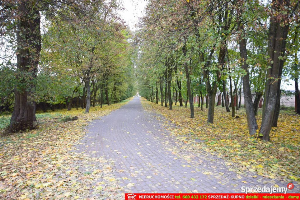 Zabytkowy Zespół DworskoParkowy XIXw 1880 r Ilość pomieszczeń 16